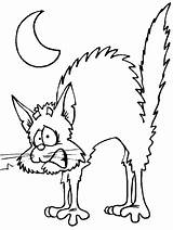 Coloring Halloween Pages Happy Color Cat Scary sketch template