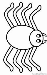 Insects Spiders sketch template