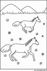Pferde Ausdrucken Ausmalbilder Kostenlos sketch template