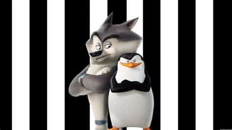 penguins of madagascar skipper and classified uhd 8k wallpaper pixelz