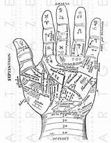 Palmistry Hand Reading Palm Vintage Rare Etsy Printable Antique Illustration Lines Woodcut Sold Chart Print Choose Board sketch template