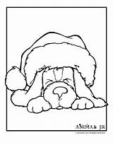 Coloring Christmas Puppy Pages Animal Printables Cute Printable Animals Kids Hat Print Jewelry Jr Dog Santa Winter Colour Adults Adult sketch template