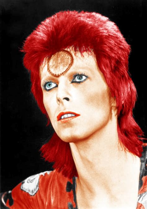 Ziggy Stardust Persona David Bowie Wiki Fandom