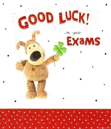 good luck wishes  exam wishes  pictures  guy