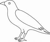 Crows Raven Sweetclipart Webstockreview sketch template