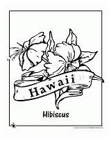 Coloring Hawaii State Flower Pages Kids Beauty sketch template