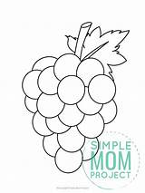 Grapes Simple Simplemomproject Toddlers sketch template