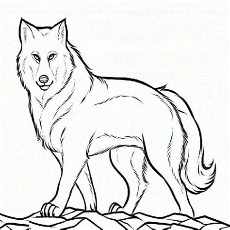 peter   wolf coloring pages printable kids colouring pages