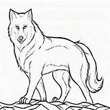 Wolf Coloring Pages Kids Cute Colouring Pup Printable Detailed Cub Print Peter Mom Mother Color Drawing Clyde Kid Getcolorings Getdrawings sketch template