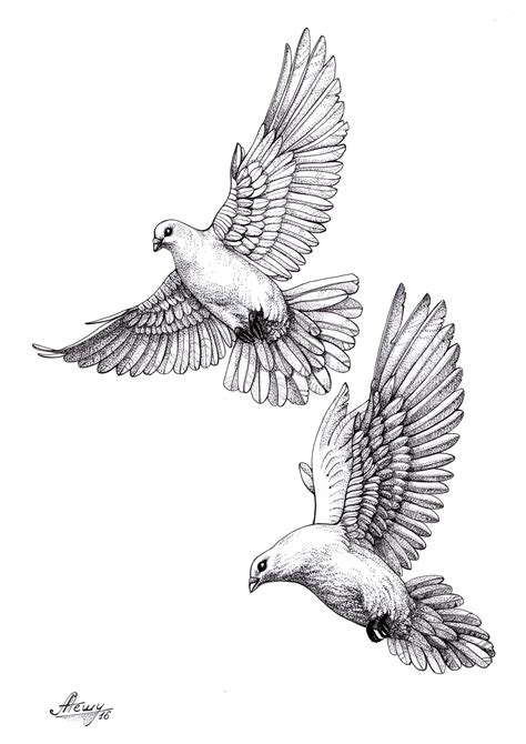 dovepigeonsketch