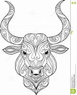Bull Head Illustration Drawn Doodle Ornate Hand Coloring Taurus Preview sketch template