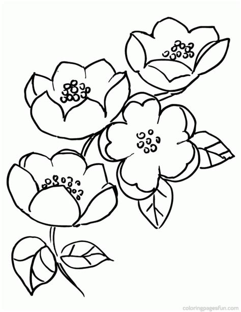 cherry blossom coloring pages coloring home