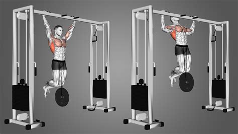 weighted pull  benefits muscles worked   inspire