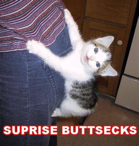 surprise buttsecks know your meme