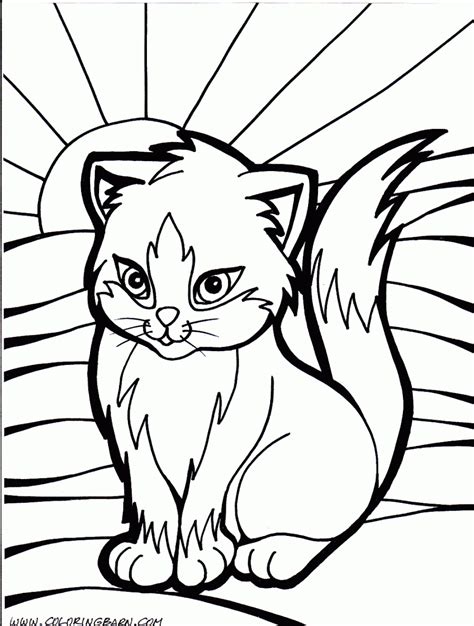 cat  kitten coloring pages coloring home