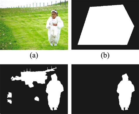 examples  foreground regions  input image foreground region