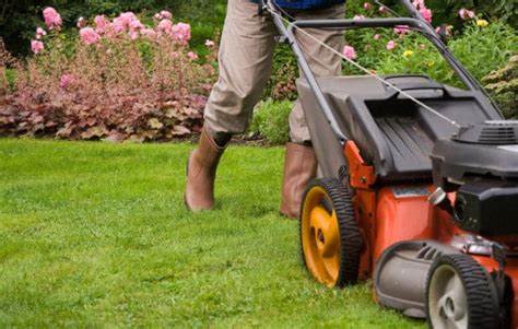 How Do You Get Your Lawn Ready For Spring Lawn Care