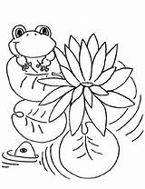 Coloring Frog Lily Pages Pad Monet Sweet Frogs Color Drawing Thinking Leapfrog Toad Print Claude Drawings Getdrawings Getcolorings Frogadier Printable sketch template