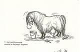 Thelwell Pony Norman Cartoon Ponies Grooming Print Horse 1965 Etsy Book Horses Rider Humorous Plate Illustration Similar Items Funny Details sketch template
