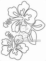 Coloring Hawaiian Hibiscus Patterns Pages Quilt Quilts Flower Sheets Flores Designs Hawaianas Flowers Outline Sheet Embroidery Para Tropical Bradfitzpatrick Clip sketch template