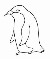 Penguin Pinguin Kleurplaten Penguins Topkleurplaat Pinguïns sketch template