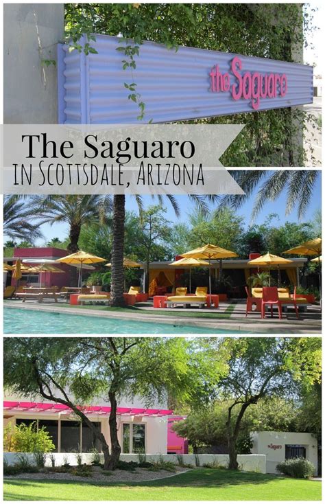 saguaro hotel scottsdale arizona scottsdale hotels arizona