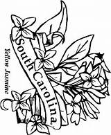 Coloring Carolina Flower State South Flowers Jasmine Printable Central Popular sketch template