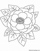 Peony Peonies Bestcoloringpages Sheets sketch template