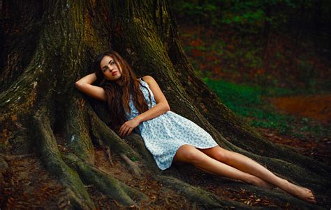 wallpaper girl sexy beauty eyes woman mood forest