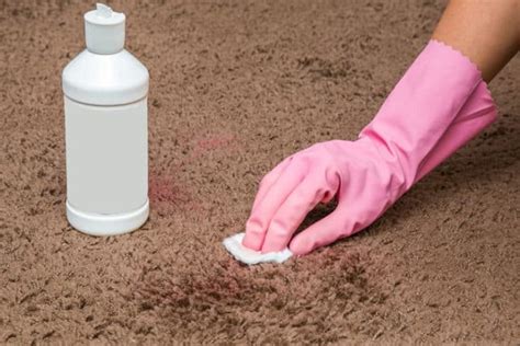 clean vomit  carpet  homely tips