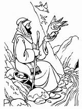 Elijah Ravens Samaritan Feeding Prophet Hungry Coloringsun sketch template