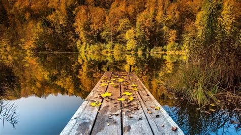 autumn lake mystery wallpaper