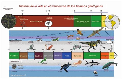 Biología 4to Evolución De Los Seres Vivos En Tiempos Geológicos