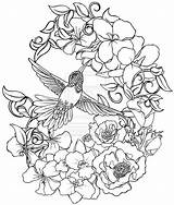 Coloring Pages Hummingbird Adults Flower Tattoo Bird Adult Printable Flowers Drawing Metacharis Deviantart Advanced Hummingbirds Humming Print Birds Color Detailed sketch template