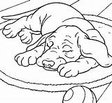 Sleeping Dog Coloring Colorear Coloringcrew Dogs Gif Animals Print sketch template