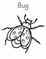 Coloring Bug Pages Printable Kids sketch template