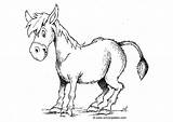 Donkey Coloring Burro Coloriage Para Dibujo Colorear Pages âne Large Comments Edupics Printable sketch template