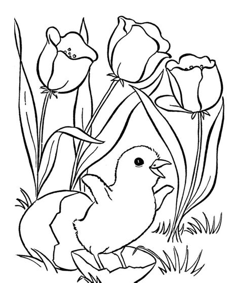 flower  bird coloring pages spring coloring sheets bird coloring