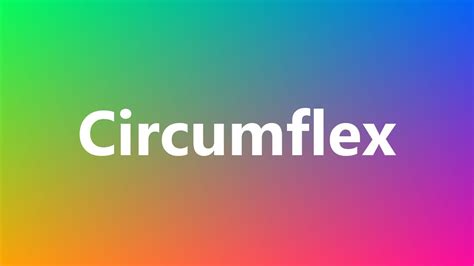circumflex medical meaning  pronunciation youtube