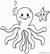 Coloring Octopus Pages Dr Printable Popular sketch template