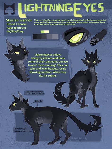 lightningeyes reference sheet  nightrizer  deviantart warrior cats warrior cats fan art