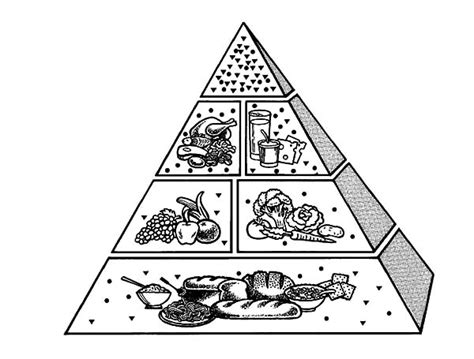 nutrition  food  food pyramid coloring pages