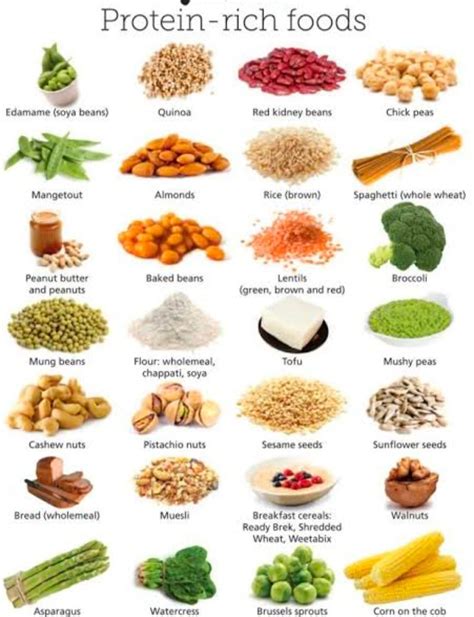 protein rich foods   calories nutrition