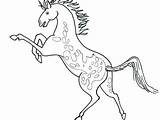 Horse Mustang Pages Coloring Printable Beautiful Getcolorings Getdrawings Line Drawing sketch template