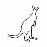 Canguru Colorir Kangaroo Ultracoloringpages sketch template