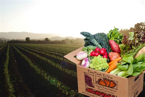 box  organic produce  artisan groceries farm fresh   organic fruits