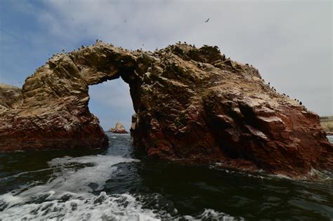 islas ballestas paracas peru oc   landscape pictures