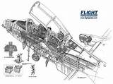Cutaway Thunderbolt A10 Fairchild Warthog Caza Aviones Fighter Ils Ataque Flightglobal Armamento Gulfstream G650 sketch template