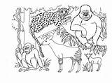 Safari Coloring Pages African Animals Color Savanna Getcolorings Getdrawings Jungle Dari Disimpan sketch template