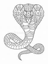 Cobra Serpente Boek Kleurende Lace sketch template